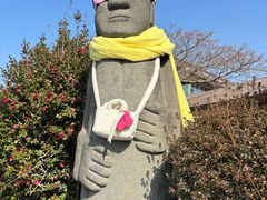 -柱状节理带