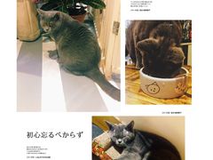 -小时光咖啡馆(开森度假森林店)