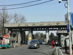 -东北农业大学饺子园