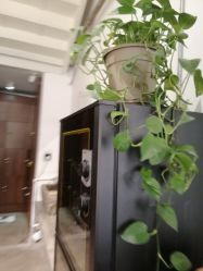 -M+hair salon专业造型沙龙