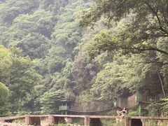 -水墨汀溪风景区