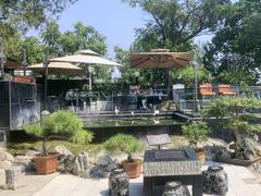 -蘇河湾·新鲁菜·泰山宴(泰山店)