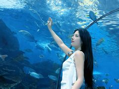 -合肥海洋世界