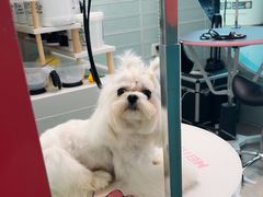 -FAELING PETS美天灵宠物(合生汇店)