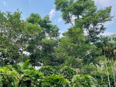 -中国科学院西双版纳热带植物园