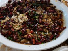 -三猫黑鱼花(南大店)