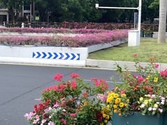 -珠江夜游广州塔·中大码头