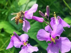 -上海滨江森林公园