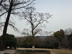 -灵谷景区