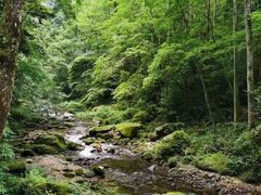 -大连天门山国家森林公园