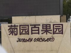 -菊园百果园