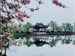 -无锡蠡湖国家湿地公园-蠡园