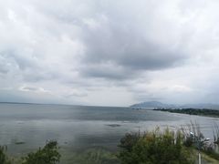 -野菌皇海景野生菌火锅(滨海大道店)