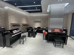 -知音艺术教育培训·钢琴培训·音乐培训(河西金鹰世界校区)