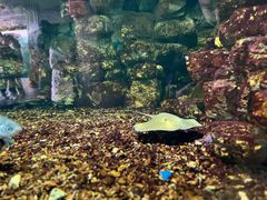 -宁波杭州湾国家湿地公园