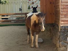 -HERRE·FARM 赫尔露营农场·团建聚会包场