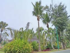 -西双版纳傣族园