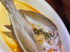 葱椒鲈鱼-绿茶餐厅(华联万柳店)