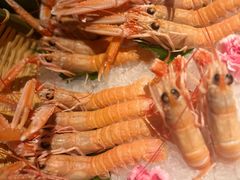 -Mr.Fish鱼鲜生海鲜放题(高德置地冬广场店)