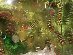 -Isla Sugbu Seafood City