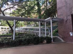 -香港大学