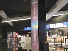 -奥斯卡升龙国际影城(RealD Cinema)