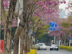 -万科前海企业公馆