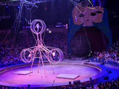 -俄罗斯国家大马戏团