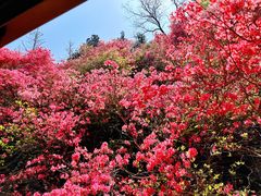 -木兰云雾山