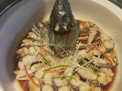 -太原富力万达文华酒店·美食汇西餐厅