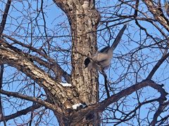 -哈尔滨文化公园