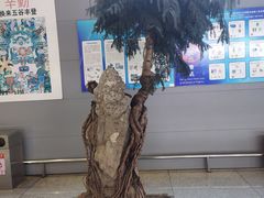 -合肥新桥国际机场-航站楼