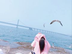 -大连星海广场音乐喷泉