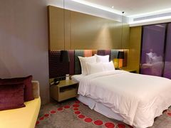 -南京禄口机场雅高铂尔曼大酒店