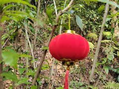 -三门江国家森林公园