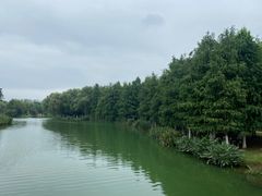 -滨湖塘西河公园