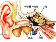 -自然之声助听器(平凉店)