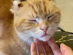 -平行世界·猫咖(首经贸店)