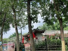 -三圣花乡旅游区