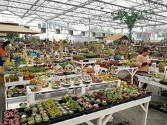 -三圣花乡旅游区