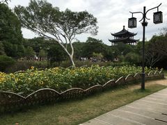 -白马涧龙池景区