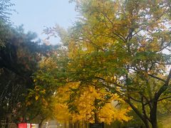 -国家植物园南园