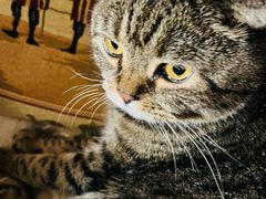 -云端咖啡私房店(河松街店)