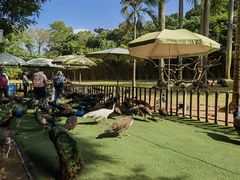 -深圳野生动物园