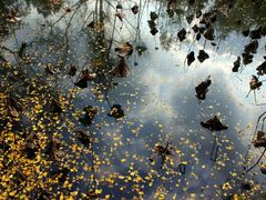 -四川大学(华西校区)