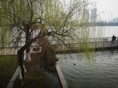 -月湖风景区