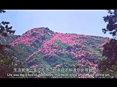 -木兰云雾山