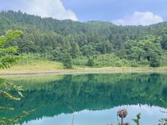 -武陵山森林公园