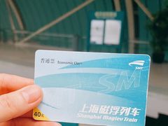 -龙阳路磁悬浮列车总站-停车场