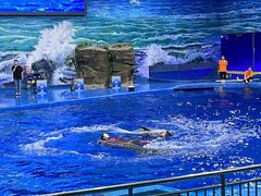 -多彩贵州城极地海洋世界